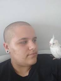 Top Dog Boarding in Vicente Pires with Best Prices