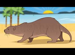 How To Draw An Otter Draw A Sea Otter Step By Step Drawing Guide By Dawn Dragoart Com 10 easy steps to drawing an otter. otter draw a sea otter step by step