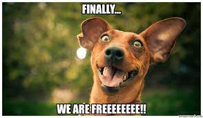 Finally Free