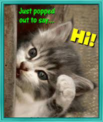 Pin By Sarah Eldakak On My Ecards Cute Cats And Kittens Cute Cats I Love Cats