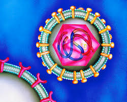 Kairos is the first of its kind artificial intelligence crypto asset management fund. Illustration Of Hiv 1 Virus Responsible For Aids Photograph By Kairos Latin Stock Science Photo Library