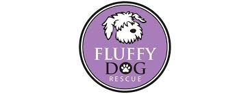 Puppies, kittens, chicken coops, livestock for adoption in racine, wi. Pets For Adoption At Fluffy Dog Rescue In Hartland Wi Petfinder