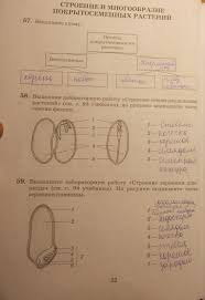 гдз по биологии 5 класс пасечник рабочая тетрадь 2018 Gdz Putina 5 Klass Po Biologii Rabochaya Tetrad Prakard