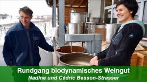' | prices, stores, tasting notes and market data. Zu Besuch Auf Dem Biologisch Dynamischen Weingut Von Nadine Und Cedric Besson Strasser Youtube
