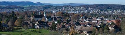 Discuss arlesheim travel with tripadvisor travelers. Nachrichten Aus Arlesheim Bz Zeitung Fur Die Region Basel