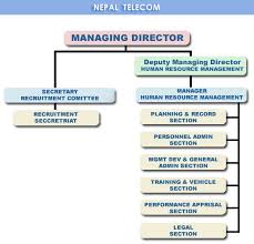 describe an organizational chart hugh fox iii