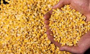 According to the latest census taken in 2010, indiana's population is 6,483,802. Corny Facts About Corn