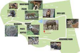 Situl web al gradinii zoologice din tg. The Map Of Gradina Zoologica Targu Mures In Targu Mures Romania