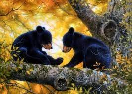 Bear Cubs In Fall Desktop Nexus Wallpapers Bear Paintings Bear Cubs Bear Art