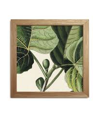 Blossom by angela cavina.jpg (1.93 mb). Art Print Plant With Picture Frame Oak The Dybdahl 15 X 15 Cm By Glucksgriff