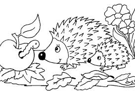 Immagine Correlata Disegni Da Colorare Bambini Da Colorare Disegni Di Uccelli
