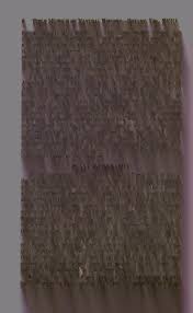 Image result for Buchnera longispicata