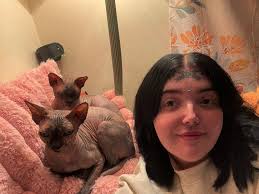 When y'all talk about getting cat food for chickens...is that dry cat  food..wanna try something to get them laying eggs again. Sorry if dumb  question