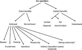 Social Semantics Altruism Cooperation Mutualism Strong Reciprocity And Group Selection West 2007 Journal Of Evolutionary Biology Wiley Online Library