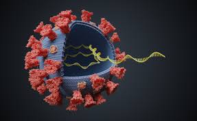 Les anticorps monoclonaux autorisés pour les immunodéprimés analyse. Variante Du Coronavirus Un Patient Immunodeprime A L Origine De La Mutation