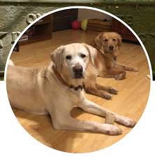 Sorry I haven't been