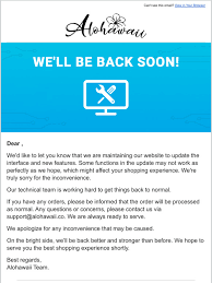 Now that you understand how your actions affected the customer, it's time to say the all important word: Alohawaii Shop Sorry We Re Experiencing The Maintenance Break Milled