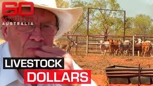 Brook Lamb's Instagram, Twitter & Facebook