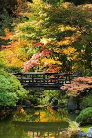 The portland japanese garden is known for a number of different kinds of gardens. Japanese Koi Ponds For Your Garden Or Backyard Portland Japanese Garden Japanese Garden Landscape Japanese Garden