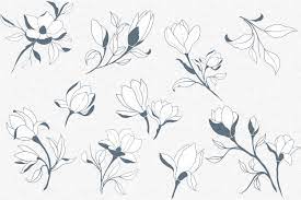 Hand Sketched Magnolia Hand Sketch Flower Painting Magnolia Design