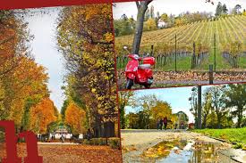Herbst In Wien 55 Orte Tipps Fur Einen Genialen Herbstausflug