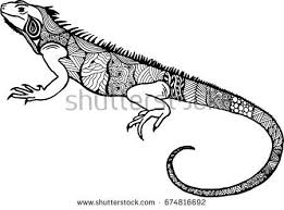 iguana varan lizard doodle iguana tattoos zentangle amphibian reptile achetez cette image vectoriell tatouages polynesiens zentangle image vectorielle