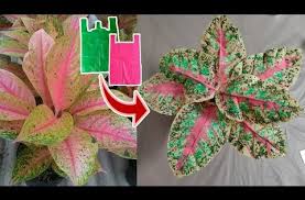 Pin De Meli P En Flores En 2020 Flores Artesanales Flores Artesanal