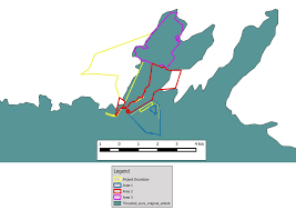 Image result for Periglossum mackenii