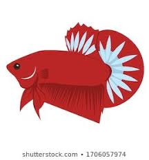 Betta Blue Rim Logo Vector Design Stock Vector Royalty Free 1706052628 In 2020 Vector Design Betta Vector Logo