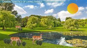 Biotic components are the living things that have a direct or indirect influence on other organisms in an environment. Characteristics Of Living Things Video Lesson Transcript Study Com