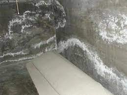 The first step in removing efflorescence is to vigorously rinse the concrete with water. Efflorescence What Is That White Powder On My Foundation And Brick