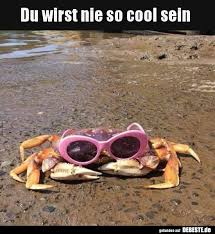 Sammlung von brigitte schorsch • zuletzt aktualisiert: Du Wirst Nie So Cool Sein Lustige Bilder Spruche Witze Echt Lustig