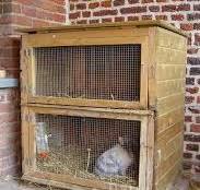 13 idées de Cabane de lapin en bois | lapin, clapier lapin ...