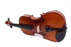 Pin On Violin Ideas