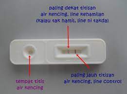Cara menggunakan test pack memang terkesan praktis dan sederhana. Keputusan Pregnancy Test Invalid Pregnancy Test