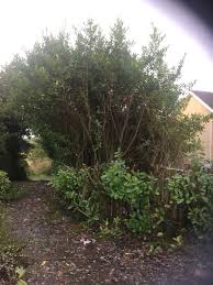 Gardening, powerwashing, fungicide & pesticide treatments, hedge cutting, grass cutting, garden designing, paving, general landscaping, general removals. Sligo Lawn And Hedge Cutting Posts Facebook