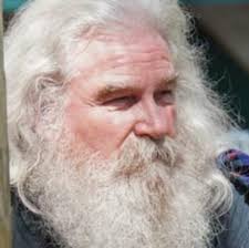 How to make small animatronic wings flutter quickly and move slowly?