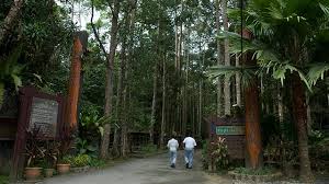 Sungai congkak is a popular recreational forest area in the hulu langat district of selangor. Sungai Congkak Recreational Forest Hutan Lipur Sungai Congkak Visit Selangor