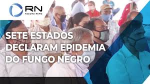 Mas a partir da declaração da epidemia, todos os casos confirmados e segundo o centro de controle e prevenção de doenças dos estados unidos (cdc), a taxa de mortalidade do fungo negro chega a 50%. Fungo Negro Entenda A Infeccao Que Atinge E Mutila Pacientes Com Coronavirus Youtube