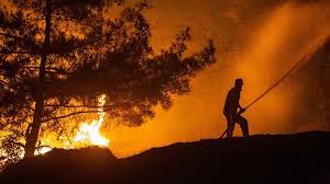 Δώδεκα άτομα έχουν χάσει μέχρι στιγμής τη ζωή τους, ενώ έχουν τραυματισθεί 13 μαθήτριες. Jtd L3rjowrum