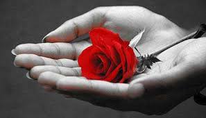 Image result for ‫ارتباط های عاشقانه قبل از ازدواج‬‎