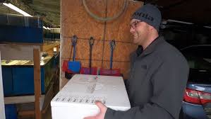 ELLICOTTVILLE AQUATICS