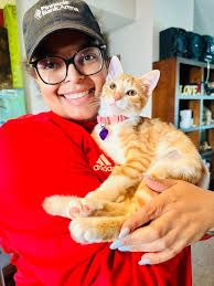 Lost kitty found at Walker Field Park