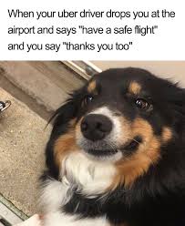 Please don't flag for copyright. Dog Memes Clean Animal Memes Viral Memes