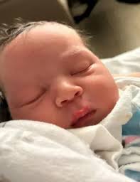 Obituary information for Brayden L Hoffman