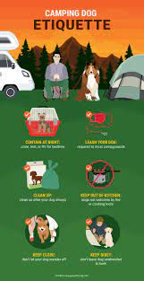 Camping With Your Dog Tips For Taking Your Pet To The Great Outdoors Dog Camping Camping Near Me Dogs