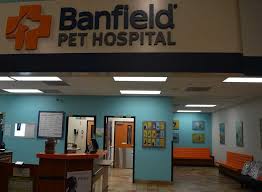 15 reviews of banfield pet hospital i have been taking my pet here off and on for a few years and am more than pleased with the level of service i receive. Petsmart With Banfield Near Me Off 73 Www Usushimd Com