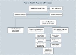 Archived Public Health Agency Of Canada 4 9