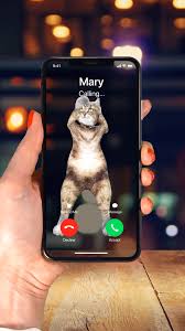 iphone wallpaper videos hintergrundbildiphone tapete download new ringtone for your iphone free cute funny dogs funny animal videos funny grumpy cat memes