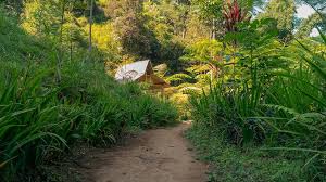 Please choose a different date. Coban Siuk Pemandangan Alami Dengan Bonus Air Terjun Mini Di Dalamnya